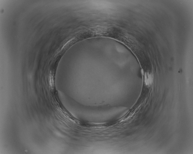 X0000066001155200603031213