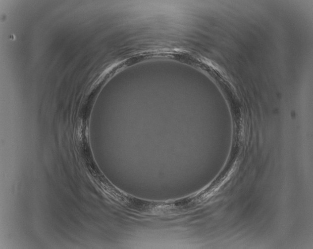 X0000066001161200603031213