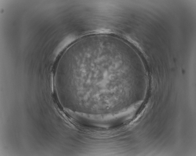 X0000066001171200603031213