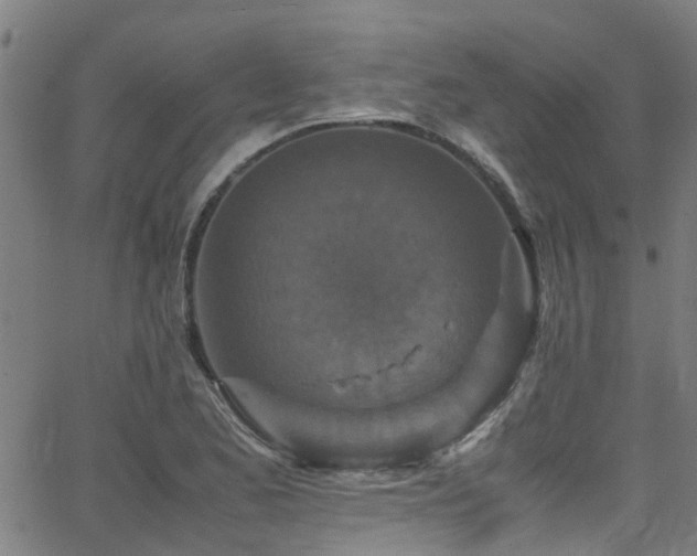 X0000066001173200603031213