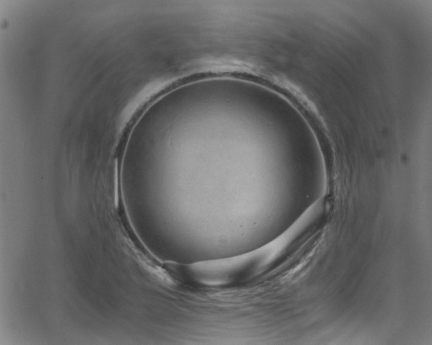 X0000066001175200603031213