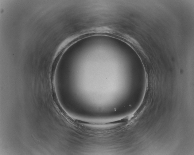 X0000066001176200603031213