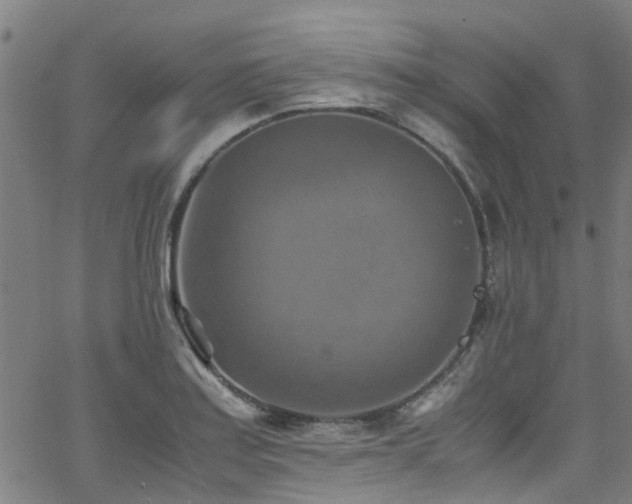 X0000066001179200603031213