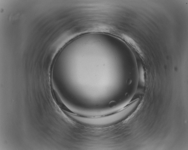 X0000066001184200603031213