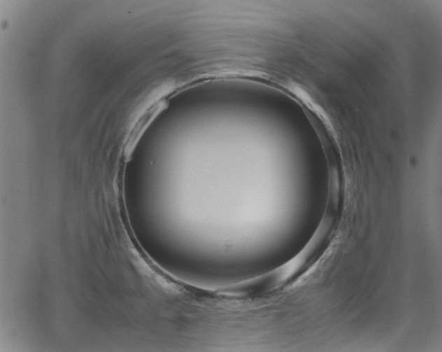 X0000066001189200603031213