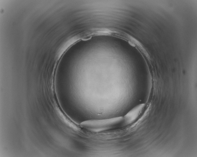 X0000066001194200603031213