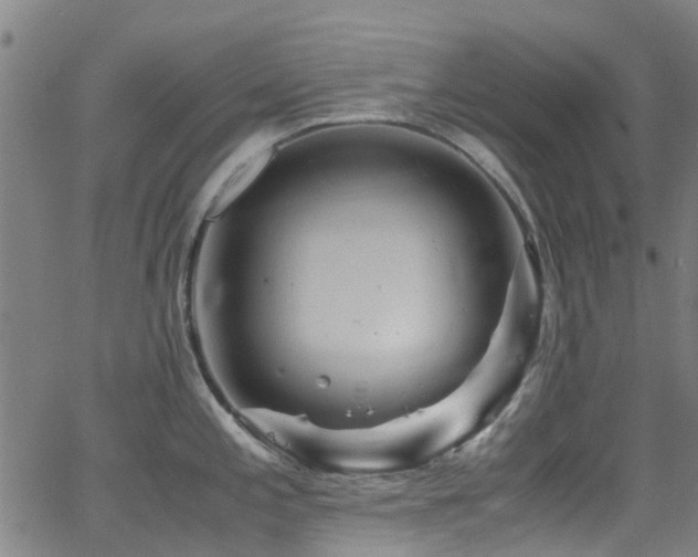 X0000066001197200603031213