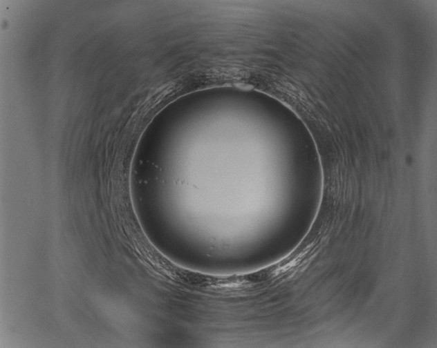 X0000066001201200603031212