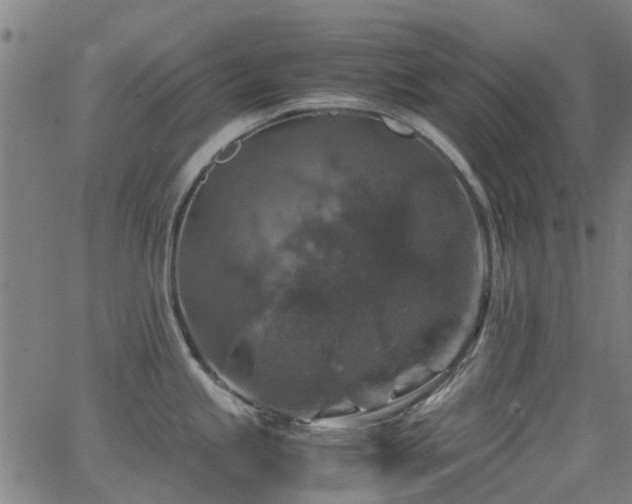 X0000066001245200603031213