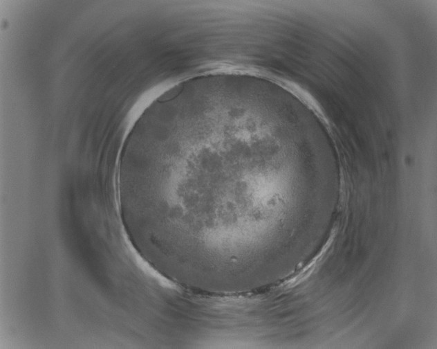 X0000066001247200603031213