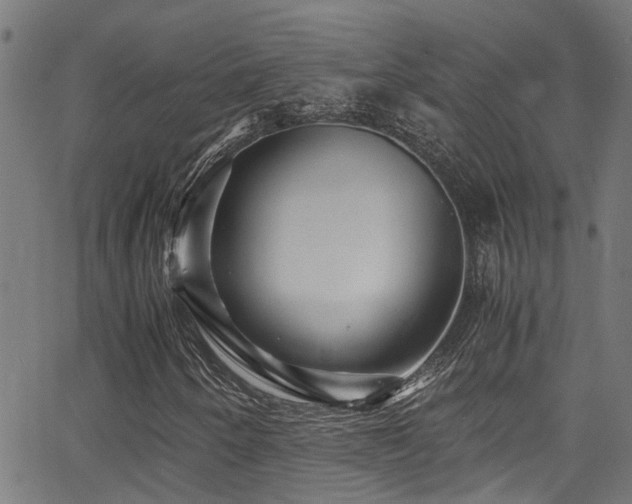 X0000066001250200603031212