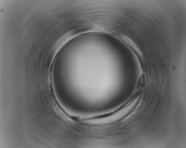 X0000066001292200603031211