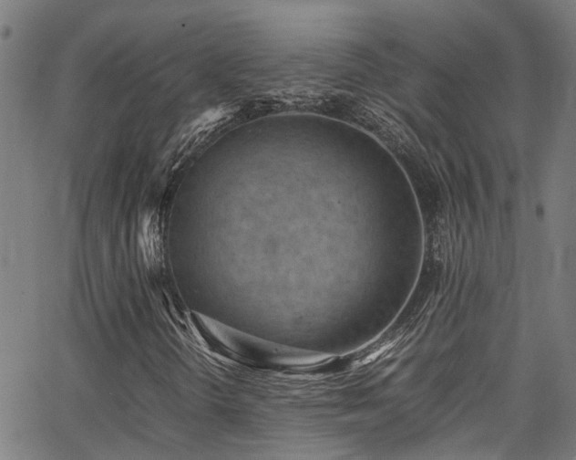 X0000066001298200603031210