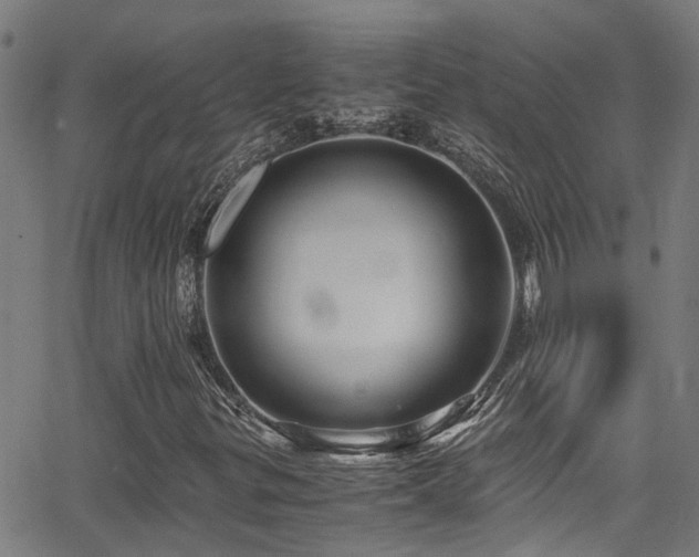 X0000066001299200603031210