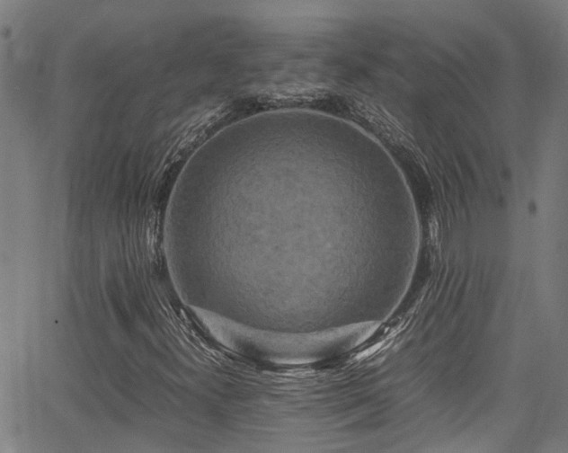 X0000066001300200603031210