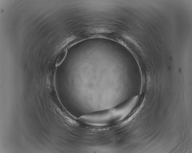 X0000066001305200603031210