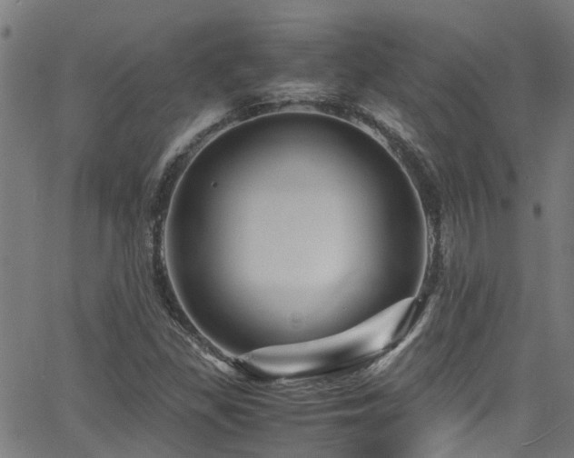 X0000066001309200603031210