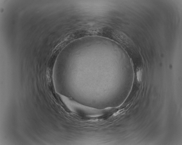 X0000066001347200603031210