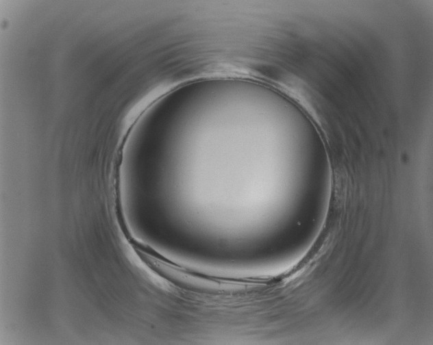 X0000066001387200603031210