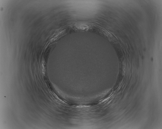 X0000066001394200603031209