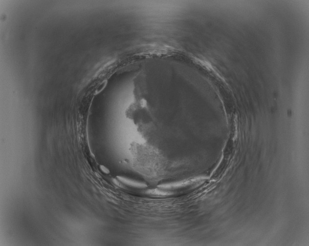 X0000066001399200603031209