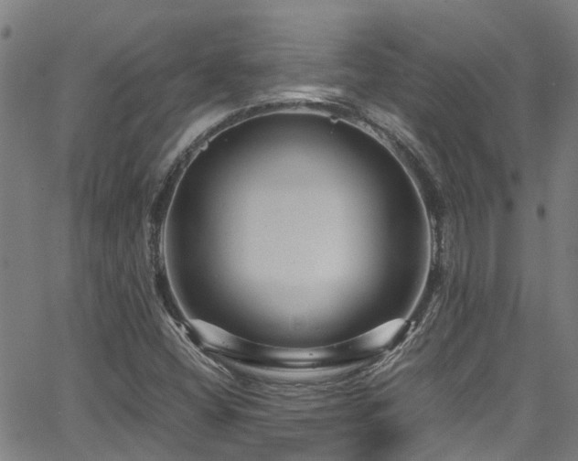 X0000066001404200603031209