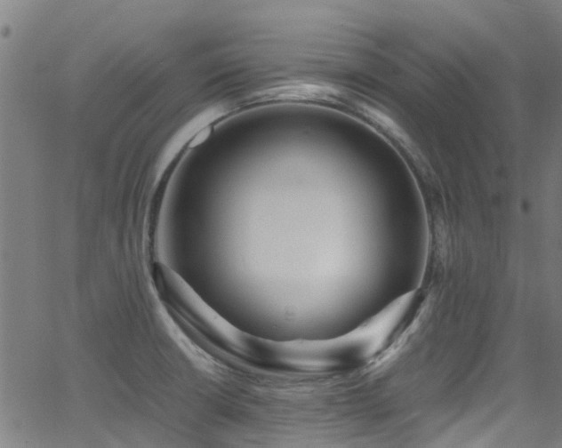 X0000066001426200603031209