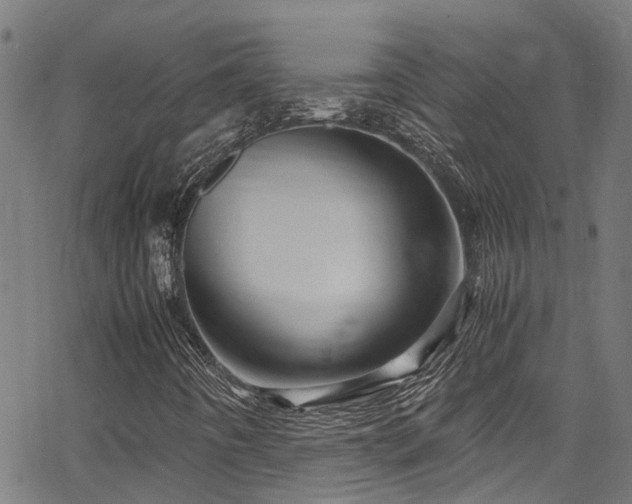 X0000066001442200603031209