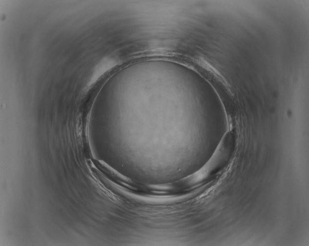 X0000066001450200603031209