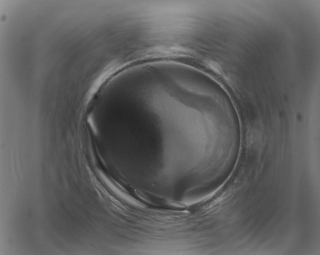 X0000066001459200603031208