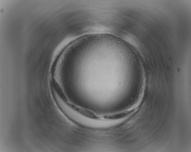 X0000066001472200603031208