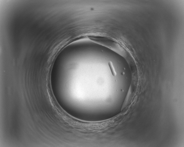 X0000066000001200603061335