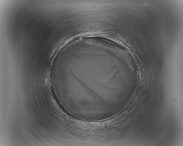 X0000066000002200603061335