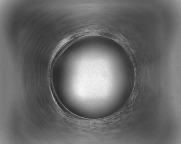 X0000066000003200603061335