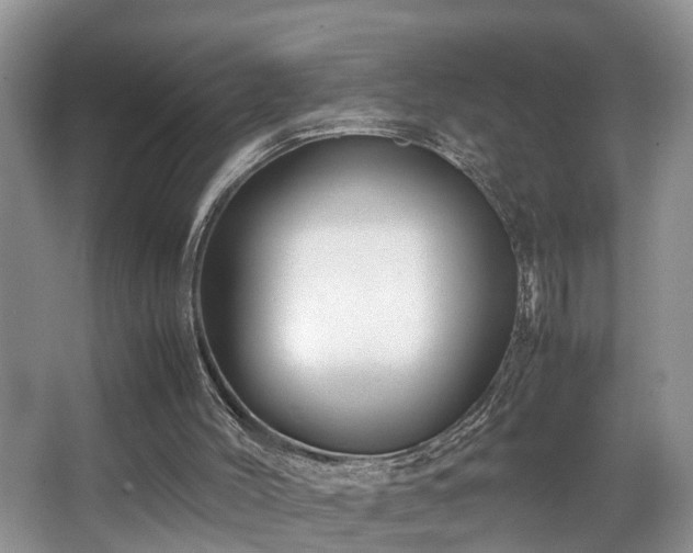 X0000066000004200603061335