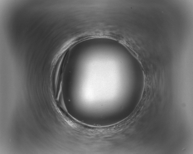 X0000066000005200603061335