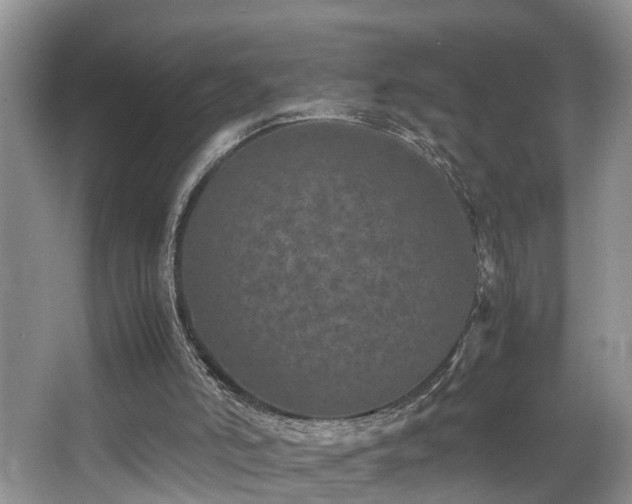 X0000066000006200603061335