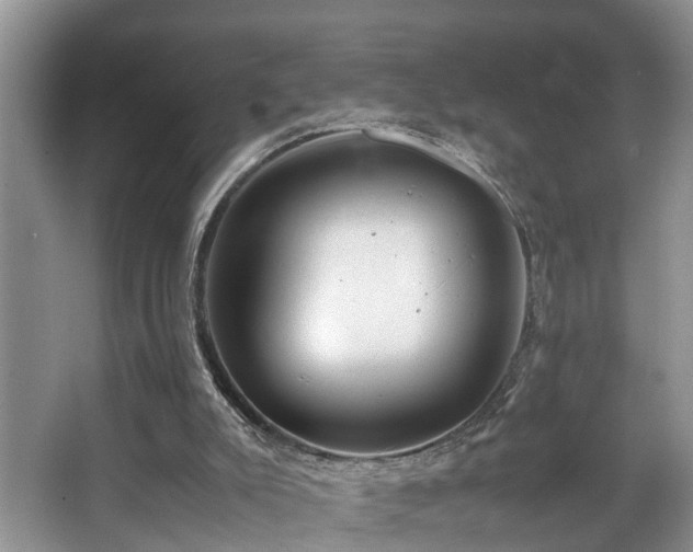 X0000066000007200603061335