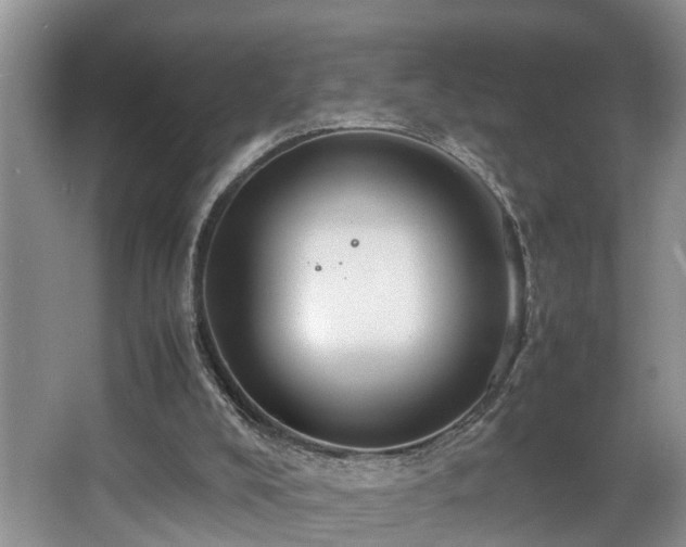 X0000066000008200603061335