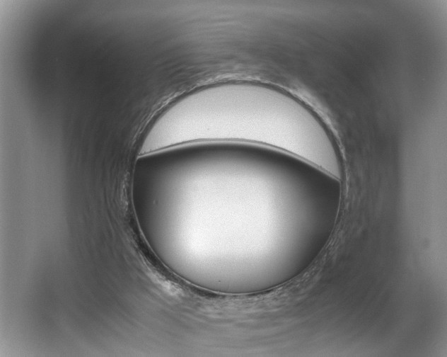 X0000066000009200603061335