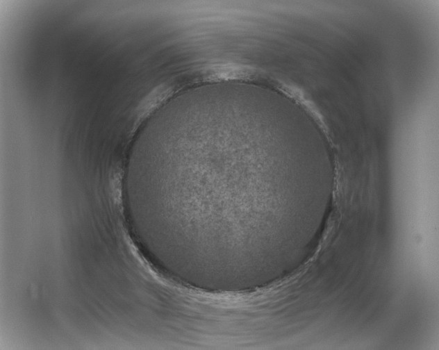 X0000066000010200603061335