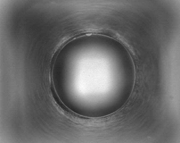 X0000066000011200603061335