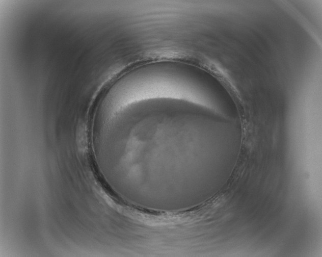 X0000066000012200603061335