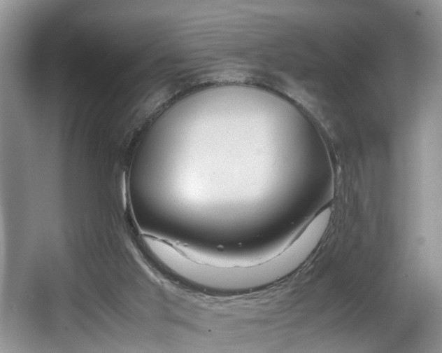 X0000066000013200603061335