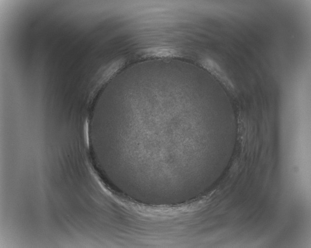 X0000066000014200603061335