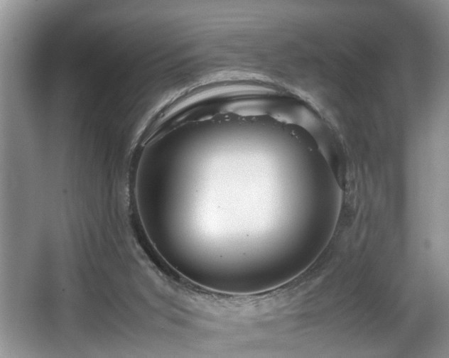 X0000066000015200603061335