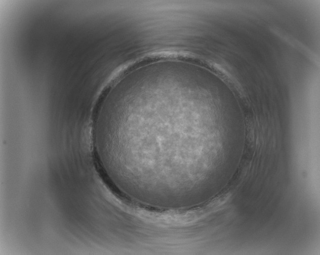 X0000066000016200603061335