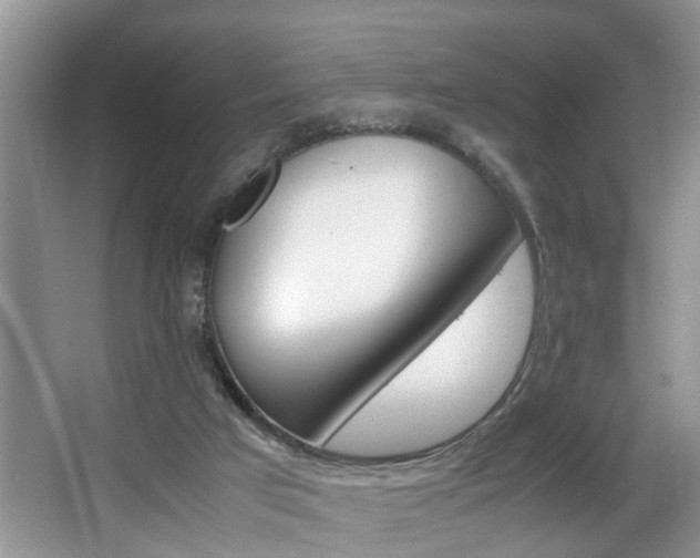 X0000066000017200603061335