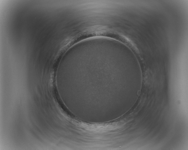 X0000066000018200603061335