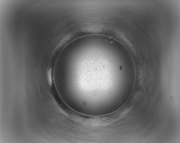 X0000066000020200603061335